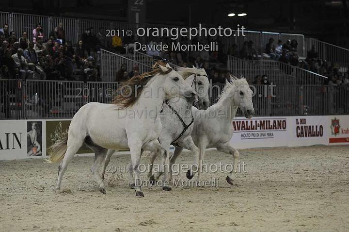 www.davidemombelli.com