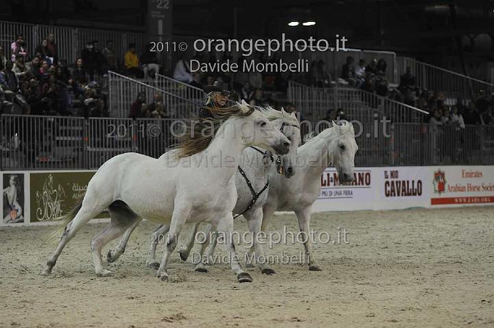 www.davidemombelli.com