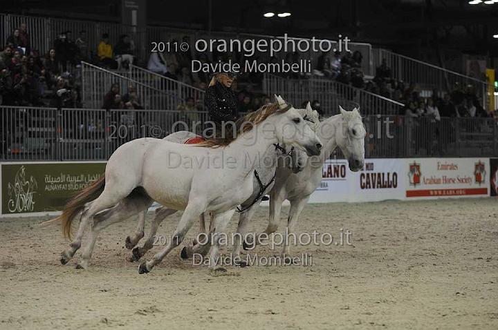 www.davidemombelli.com