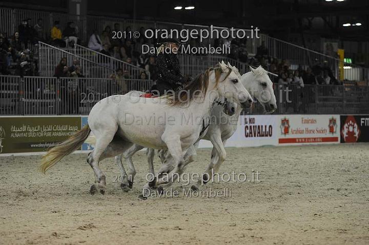 www.davidemombelli.com