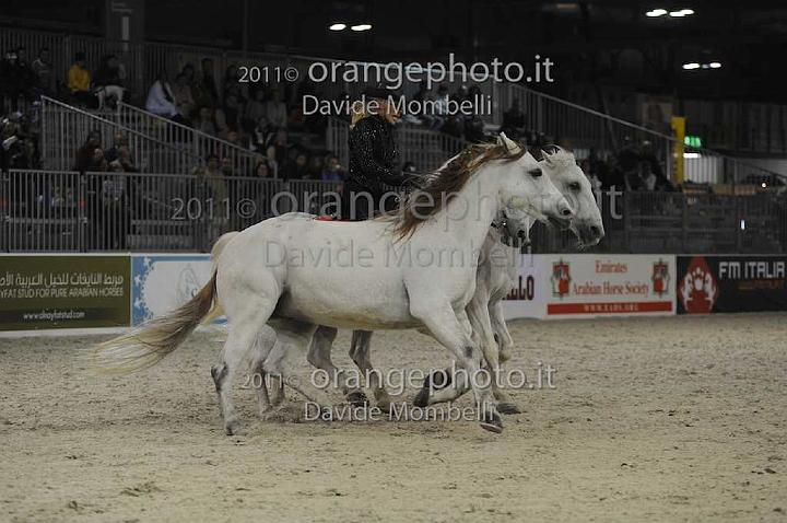 www.davidemombelli.com