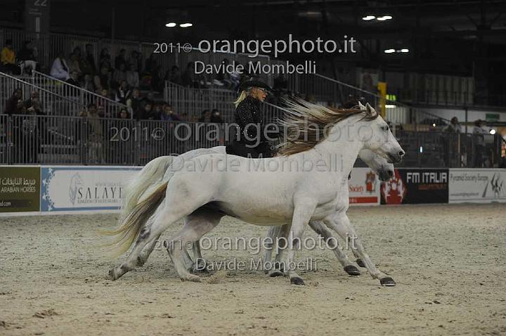 www.davidemombelli.com