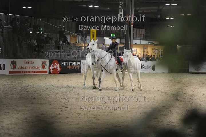 www.davidemombelli.com