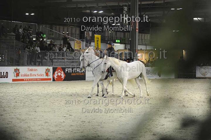 www.davidemombelli.com