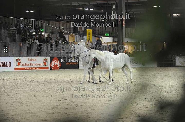 www.davidemombelli.com