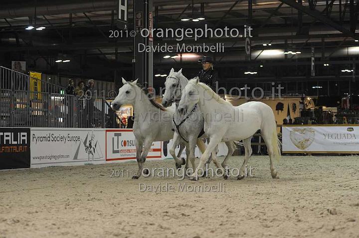 www.davidemombelli.com