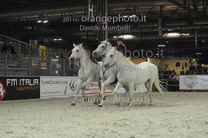www.davidemombelli.com