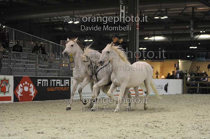 www.davidemombelli.com