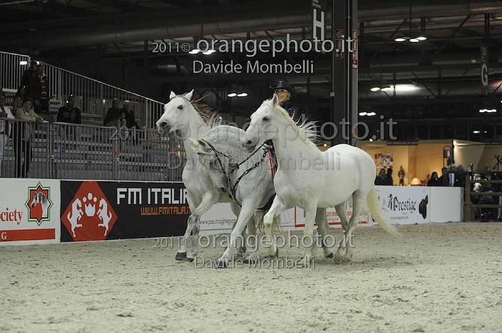 www.davidemombelli.com