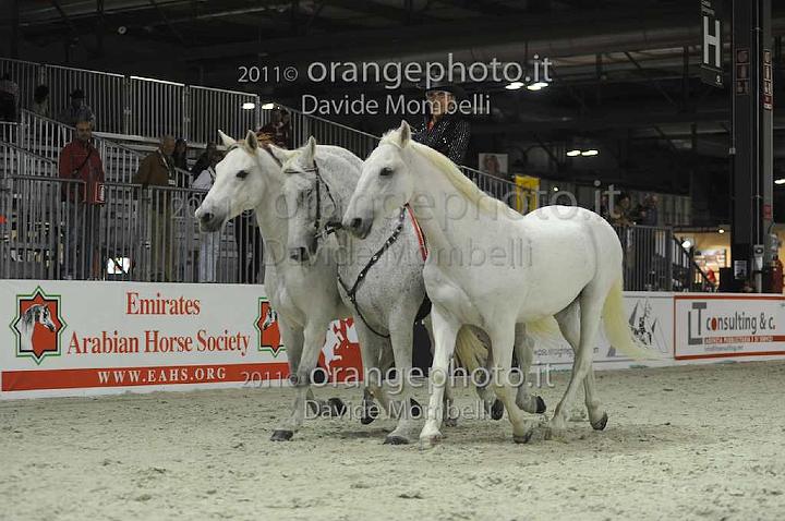 www.davidemombelli.com