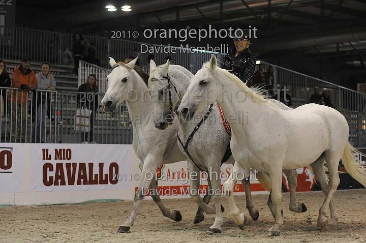www.davidemombelli.com