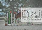 62-23092012-OPh-12370