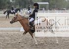 ZZ-Varie-DRESSAGE