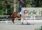 217-20092012-OPh-2099